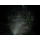 Switch Resident Evil: Requiem Deluxe Edition - 1418203 - zdjęcie 6